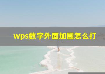 wps数字外面加圈怎么打