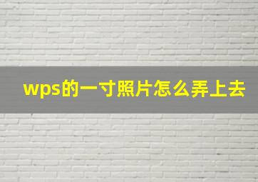 wps的一寸照片怎么弄上去