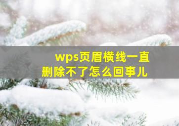 wps页眉横线一直删除不了怎么回事儿