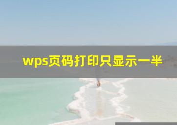 wps页码打印只显示一半