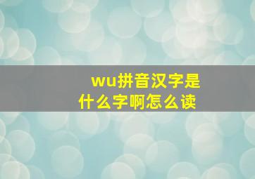 wu拼音汉字是什么字啊怎么读