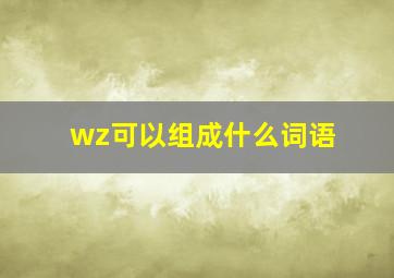 wz可以组成什么词语