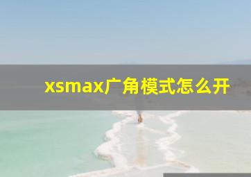 xsmax广角模式怎么开