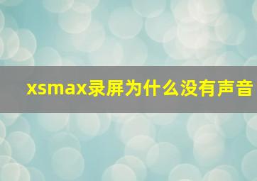 xsmax录屏为什么没有声音