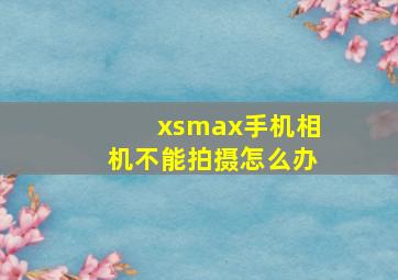 xsmax手机相机不能拍摄怎么办