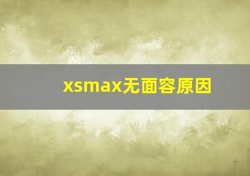 xsmax无面容原因