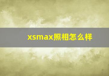 xsmax照相怎么样