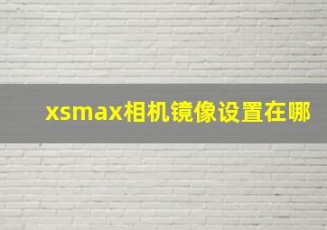 xsmax相机镜像设置在哪