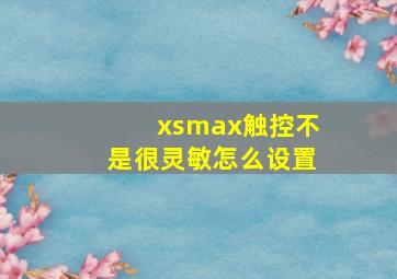 xsmax触控不是很灵敏怎么设置