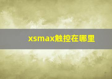 xsmax触控在哪里