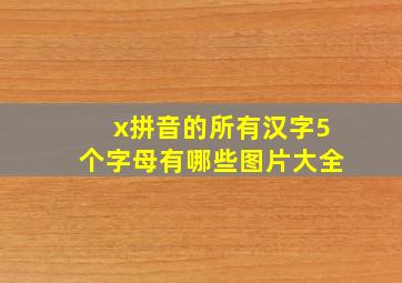 x拼音的所有汉字5个字母有哪些图片大全