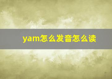 yam怎么发音怎么读