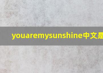 youaremysunshine中文是什么