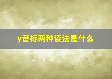 y音标两种读法是什么