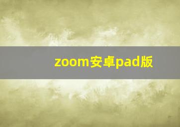 zoom安卓pad版