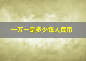 一万一是多少钱人民币