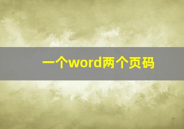 一个word两个页码