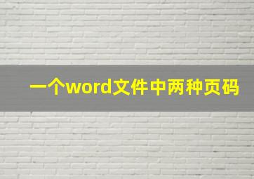 一个word文件中两种页码