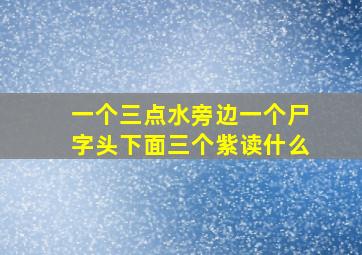 一个三点水旁边一个尸字头下面三个紫读什么