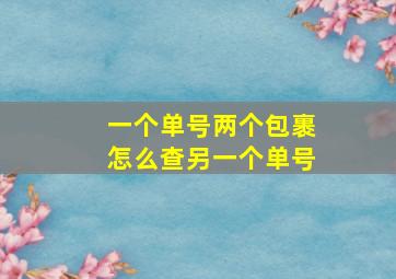 一个单号两个包裹怎么查另一个单号