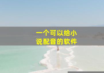 一个可以给小说配音的软件