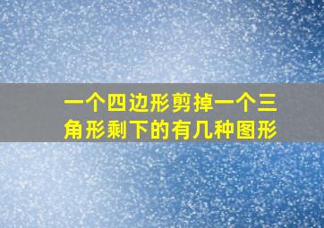 一个四边形剪掉一个三角形剩下的有几种图形