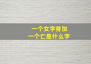 一个女字旁加一个亡是什么字