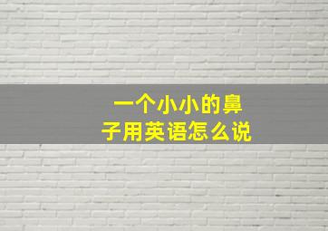 一个小小的鼻子用英语怎么说