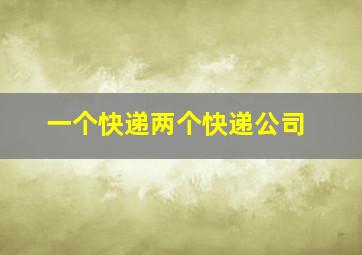 一个快递两个快递公司