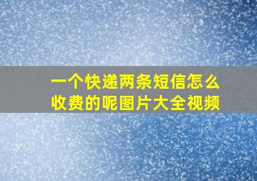 一个快递两条短信怎么收费的呢图片大全视频