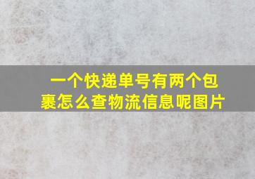 一个快递单号有两个包裹怎么查物流信息呢图片