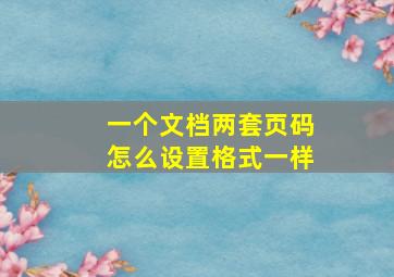 一个文档两套页码怎么设置格式一样