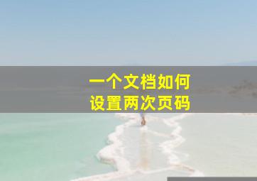 一个文档如何设置两次页码