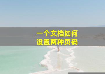 一个文档如何设置两种页码