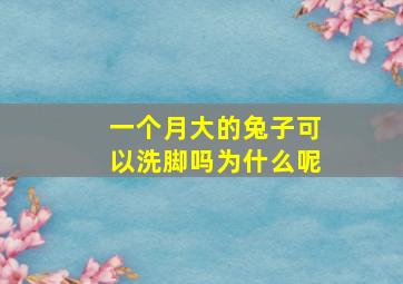 一个月大的兔子可以洗脚吗为什么呢