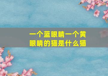 一个蓝眼睛一个黄眼睛的猫是什么猫