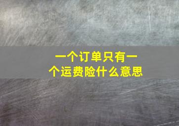 一个订单只有一个运费险什么意思