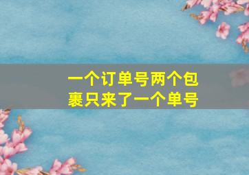 一个订单号两个包裹只来了一个单号