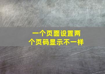 一个页面设置两个页码显示不一样