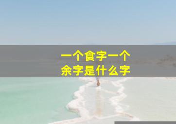 一个食字一个余字是什么字