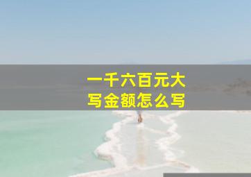 一千六百元大写金额怎么写