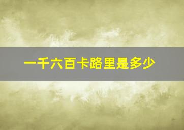 一千六百卡路里是多少