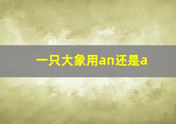 一只大象用an还是a