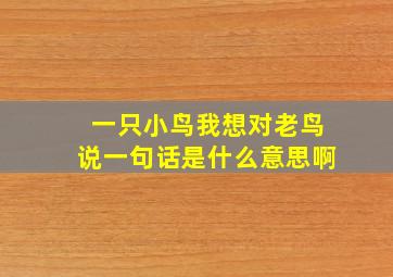 一只小鸟我想对老鸟说一句话是什么意思啊