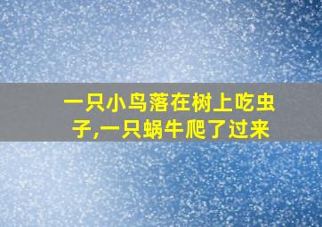 一只小鸟落在树上吃虫子,一只蜗牛爬了过来