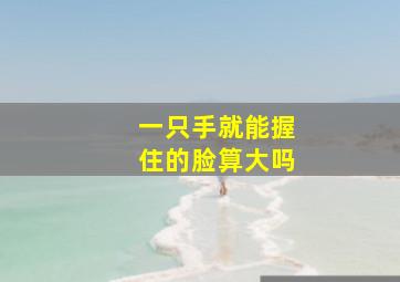 一只手就能握住的脸算大吗