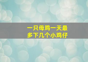 一只母鸡一天最多下几个小鸡仔