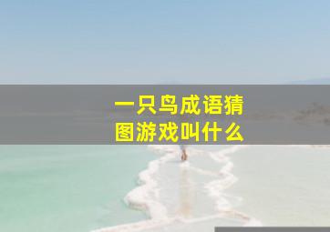 一只鸟成语猜图游戏叫什么