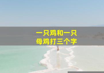 一只鸡和一只母鸡打三个字