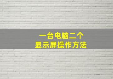 一台电脑二个显示屏操作方法